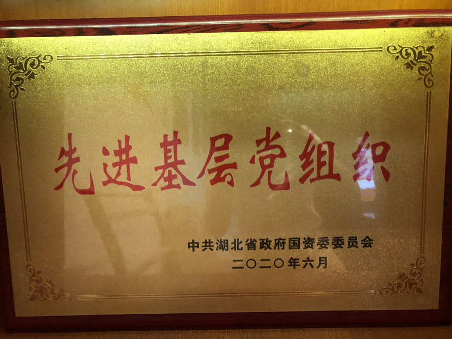 2020年6月，被省國(guó)資委評(píng)為“先進(jìn)基層黨組織”